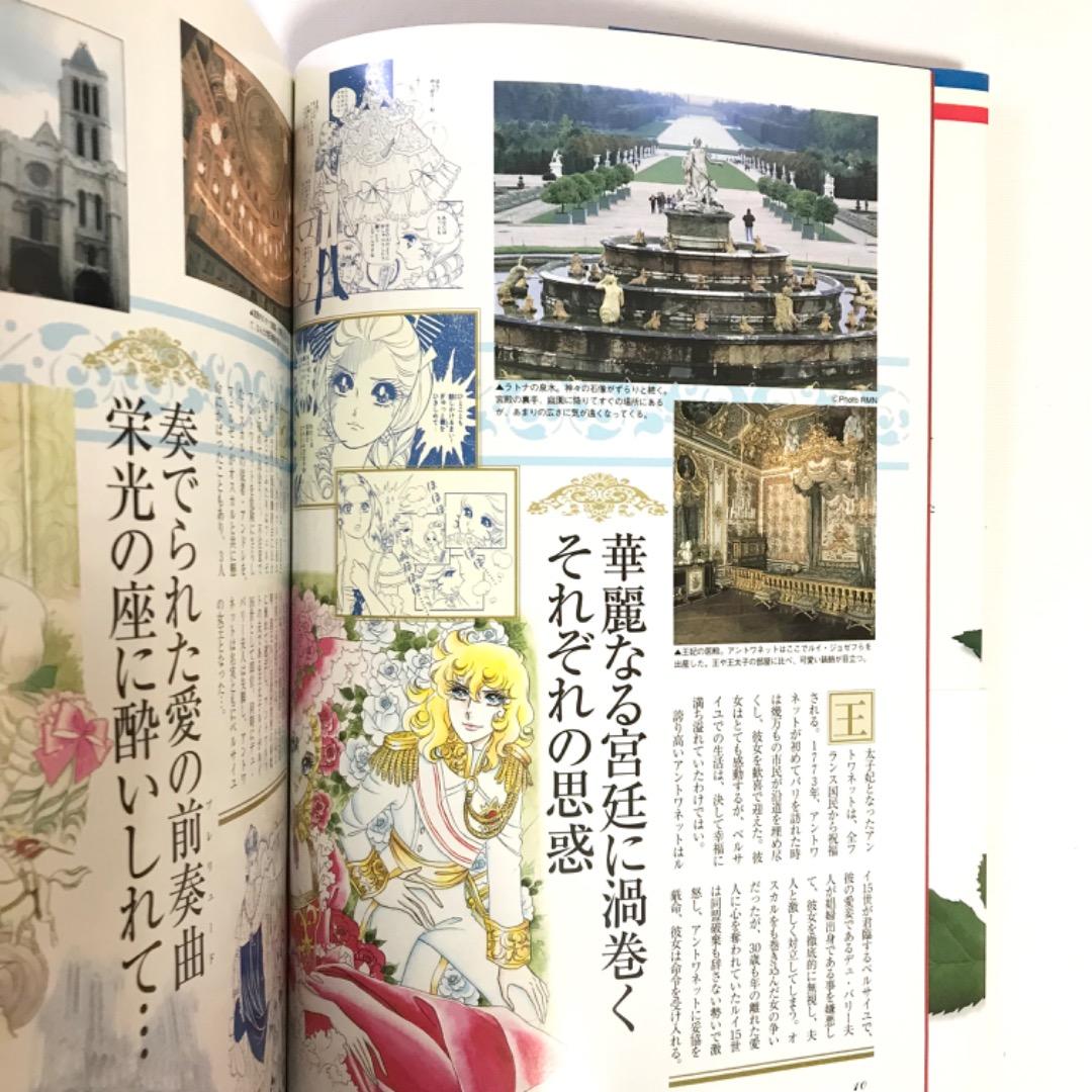 ベルサイユのばら 大事典 30周年記念特別版