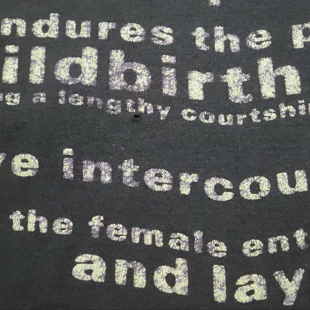 90s NIRVANA all apologies バンドTシャツ USA製