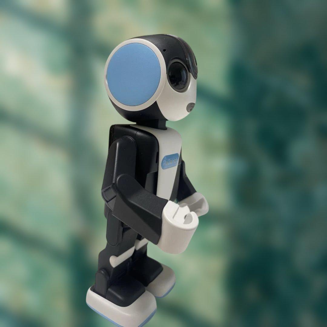 ロボホンSR-04M-Y＊お洋服5点付＊美品＊付属品完備