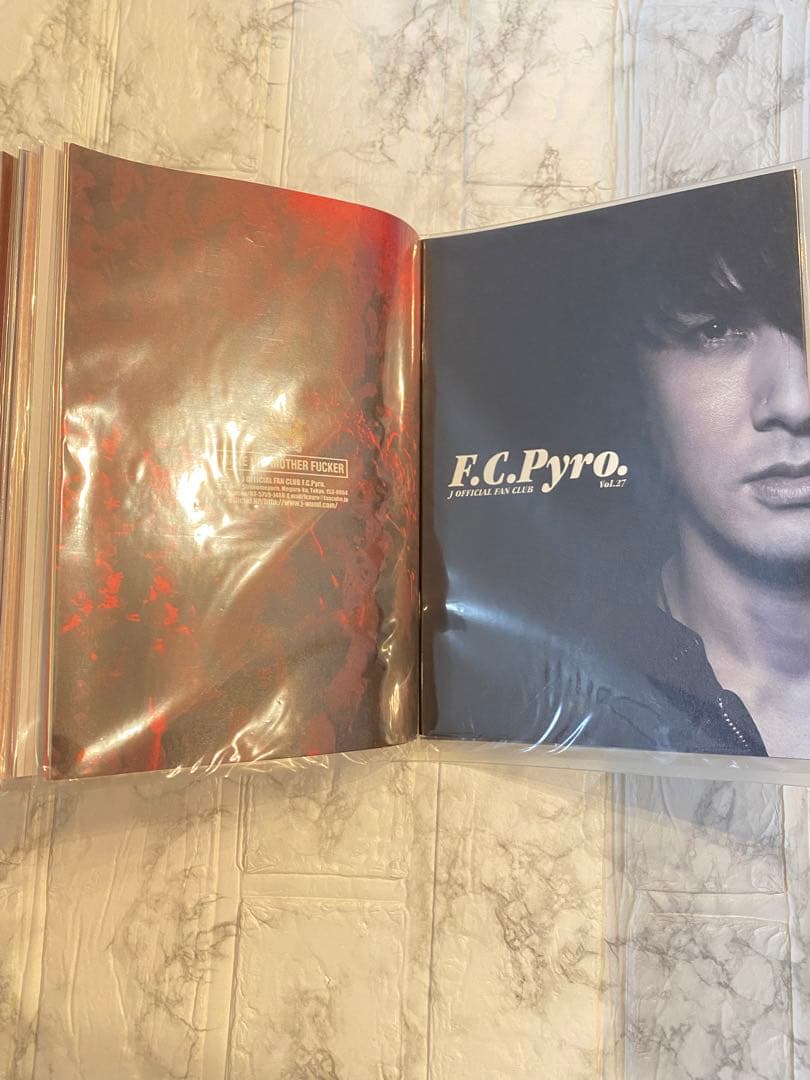 会報ファイル 5冊 会報vol.1-66LUNA SEA J 6と9欠品