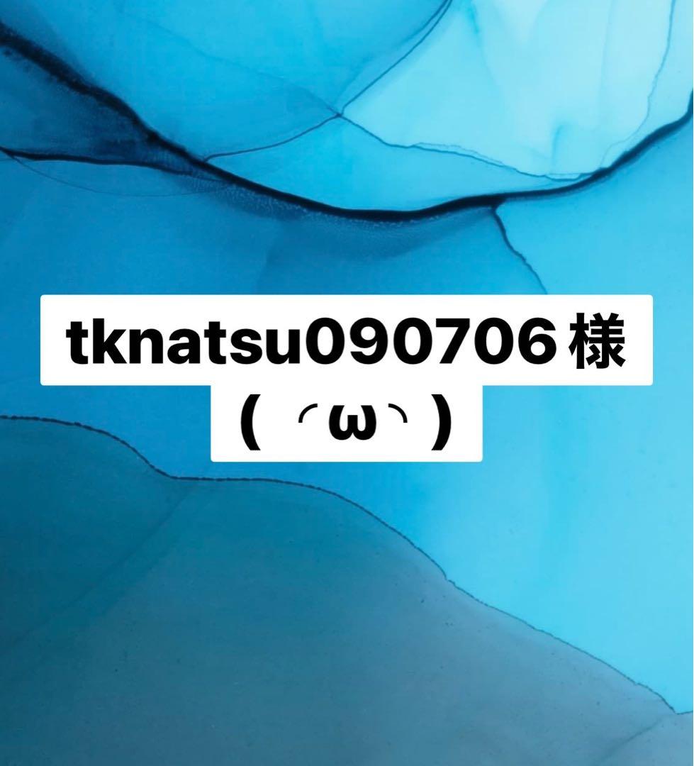 新品 ニュースキン NUSKIN ガルバニック ボディスパ 美顔器