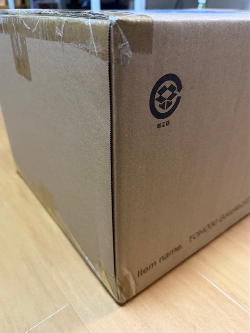 【新品未開封】東宝30cmシリーズ ゴジラ（2023） 少年リック限定版