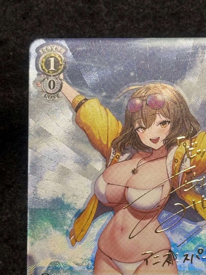 【マグネットローダー付き】アニス　SP