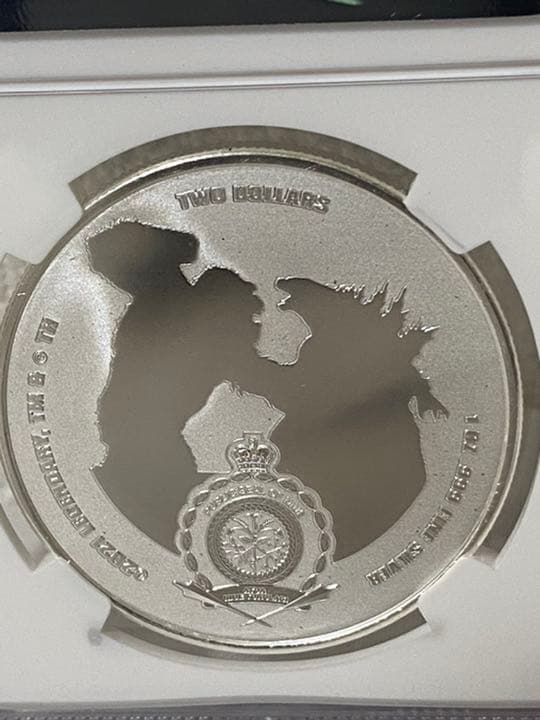 toru　準最高鑑定　ニウエ　ゴジラVSコング　ゴジラバージョン　銀貨