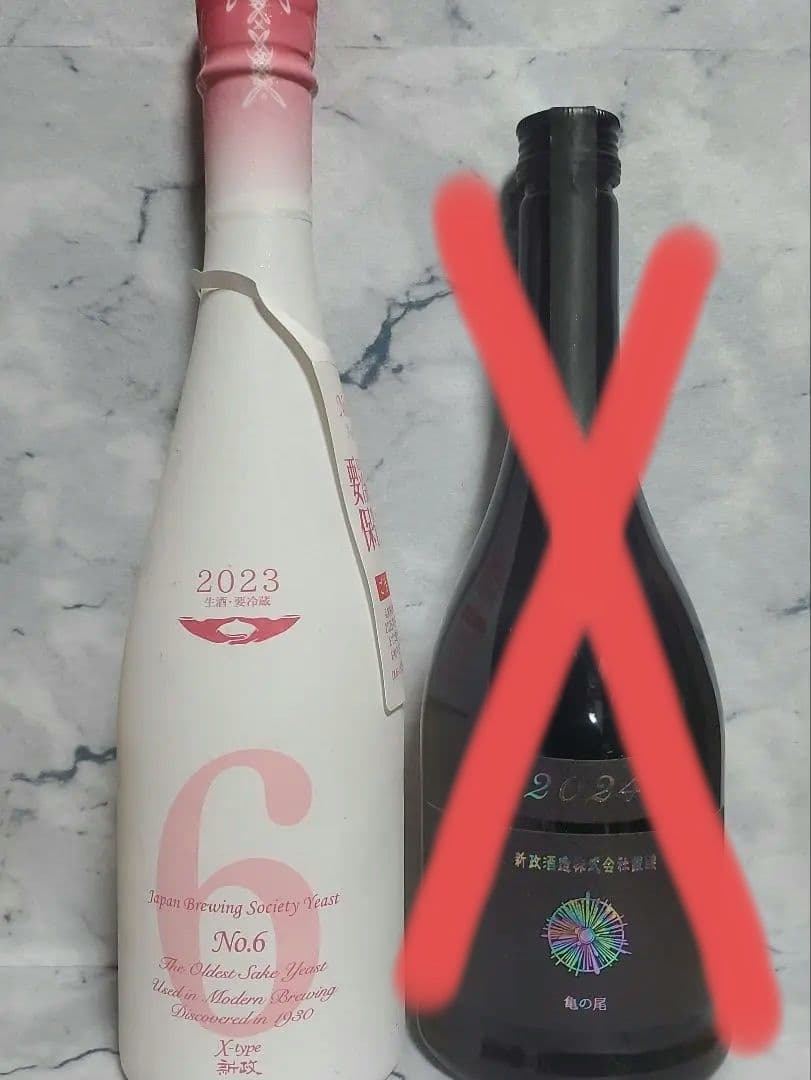 新政 No.6Xタイプ2023