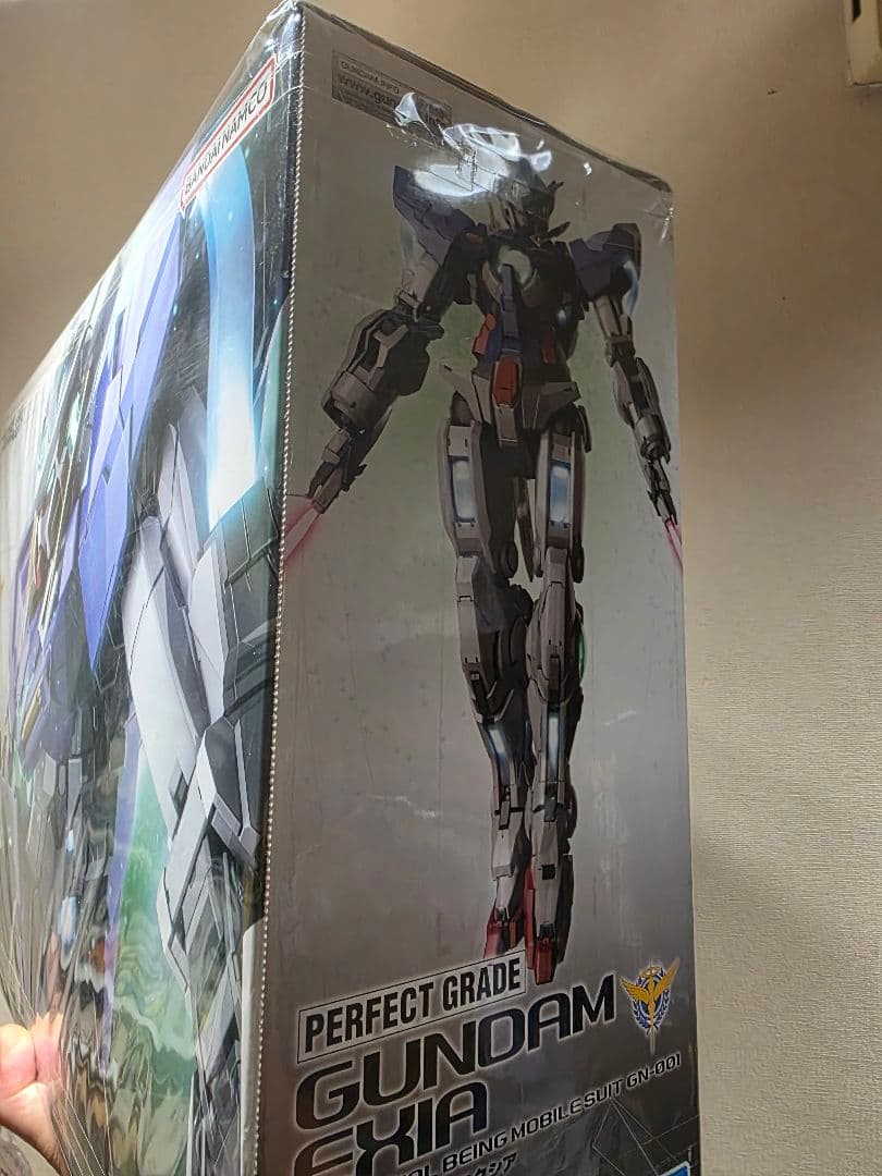 ◆未組立品◆PGガンダムエクシア