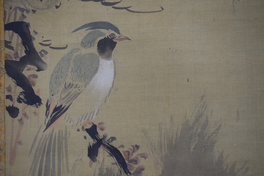 【真作】谷文晁/写山楼/老松寿帯鳥図/尾長鳥図/掛軸☆宝船☆Y-342　JM