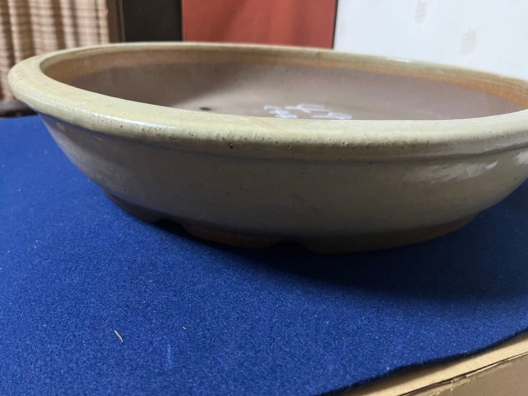 997 盆栽　盆栽鉢　植木鉢　中国鉢　白交趾