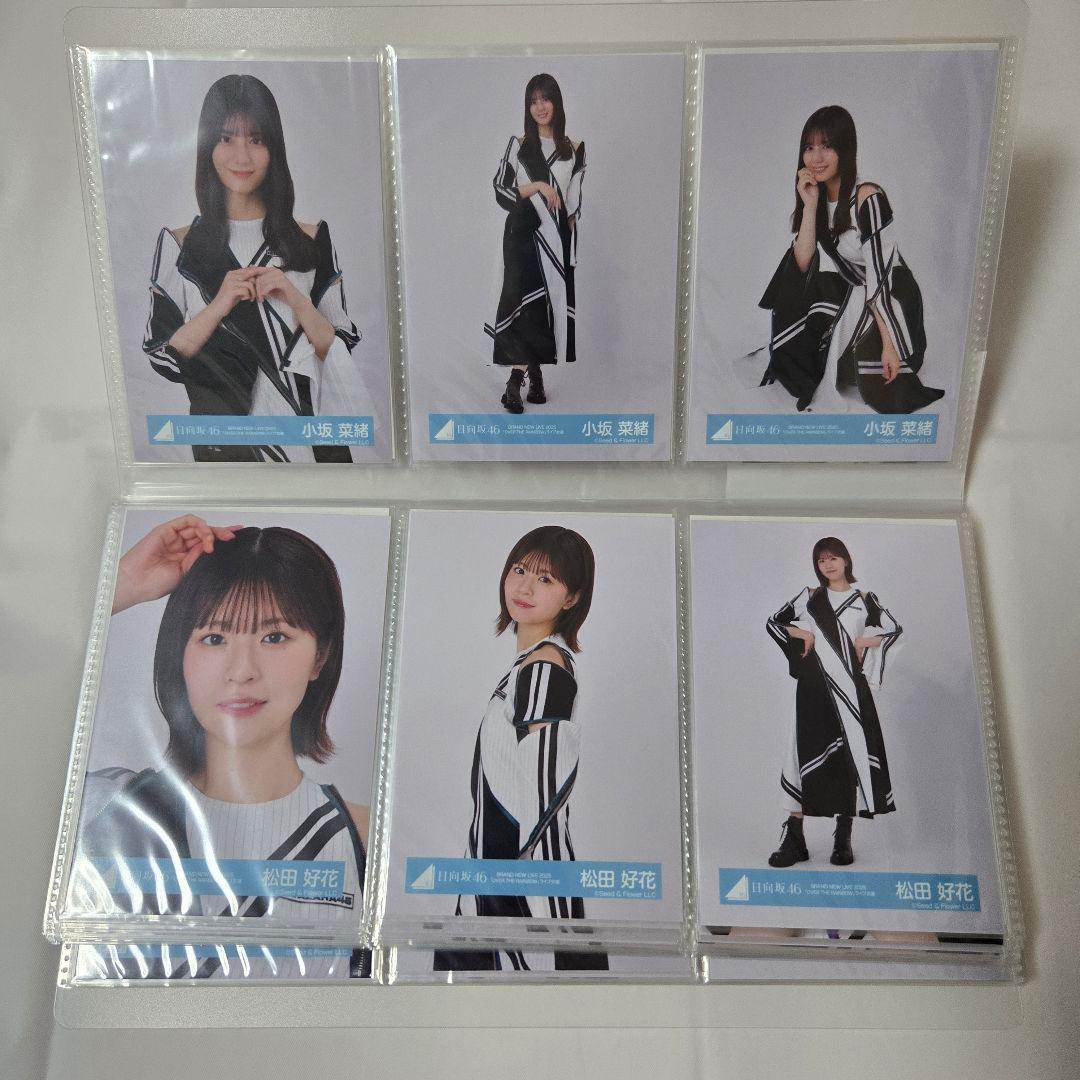 日向坂46 生写真 フルコンプ OVER THE RAINBOW ライブ衣装