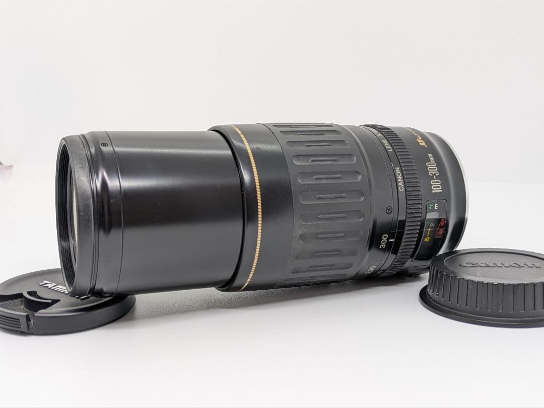 12月18日限定価格♪Canon EF 100-300mm USM