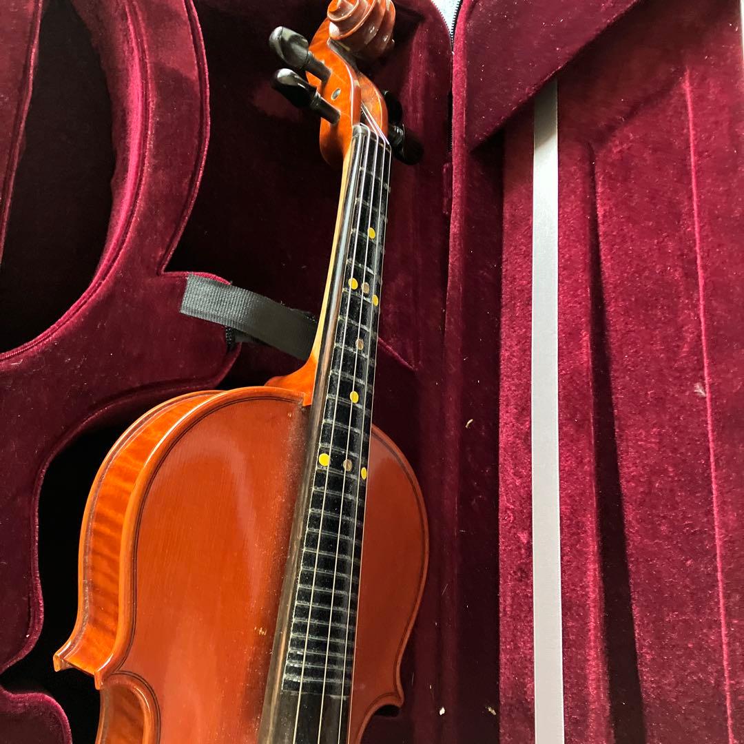 カルロジョルダーノ VS-3　フレット バイオリン4/4 虎目一枚板 一式セット