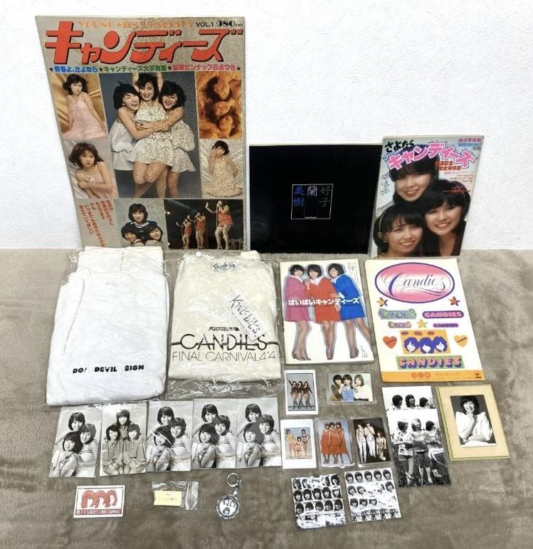 ☆☆当時物【キャンディーズ】お宝グッズ まとめ売り トレーナー/写真集/バッジ他