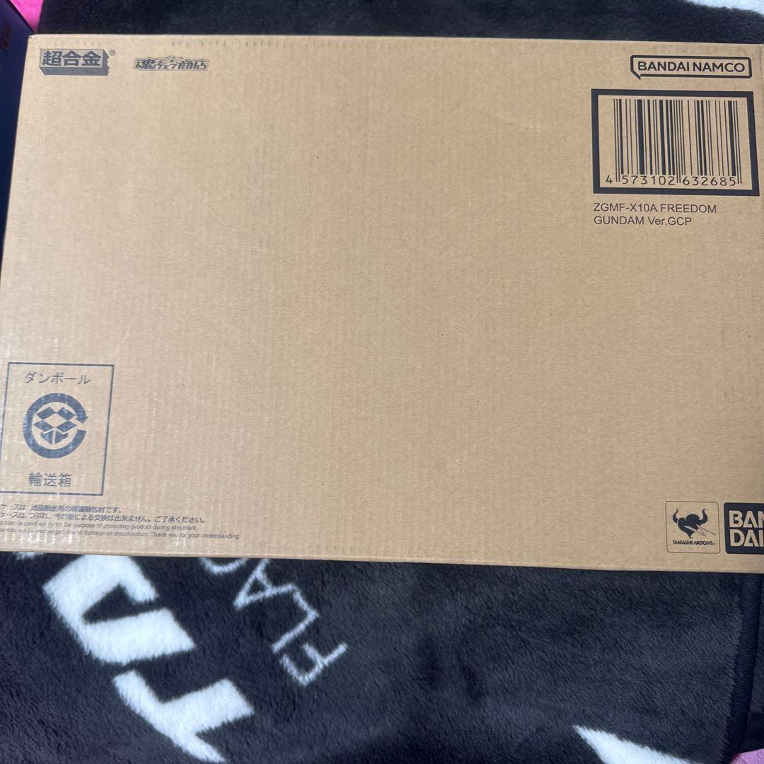 コミック・アニメ ZGMF-X10A FREEDOM GUNDAM Ver.GCP