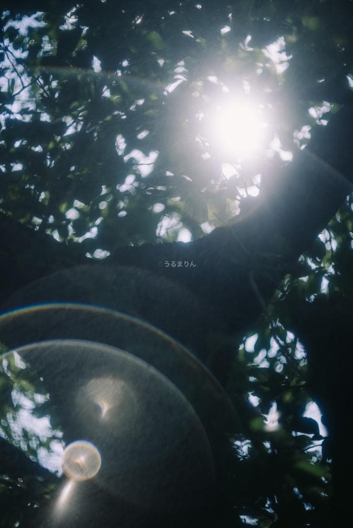 外観美品！希少なニッケル！Leica Nickel Summar 50mm F2