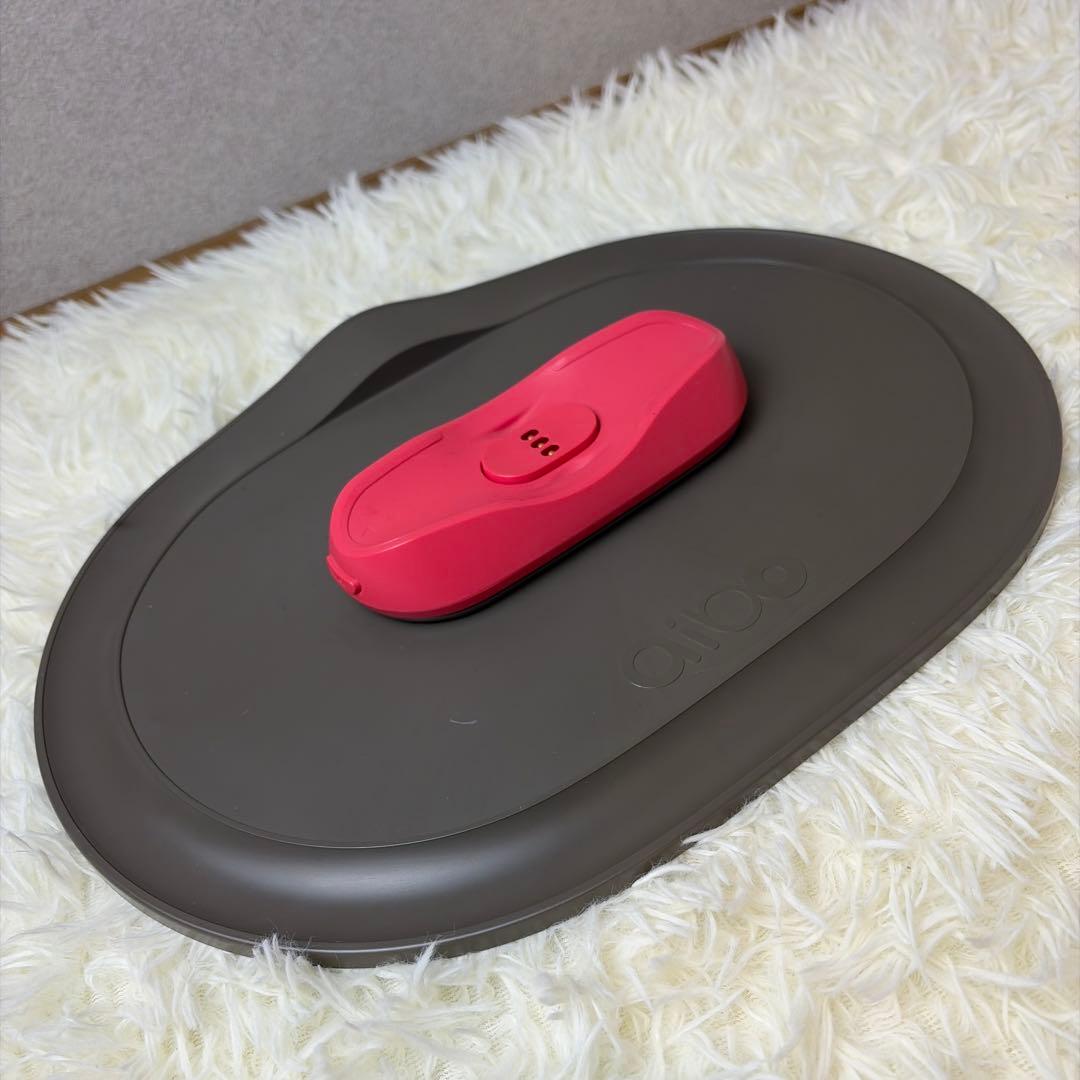 【極美品】SONYアイボ aibo本体★付属品多数付きERS-1000ホワイト