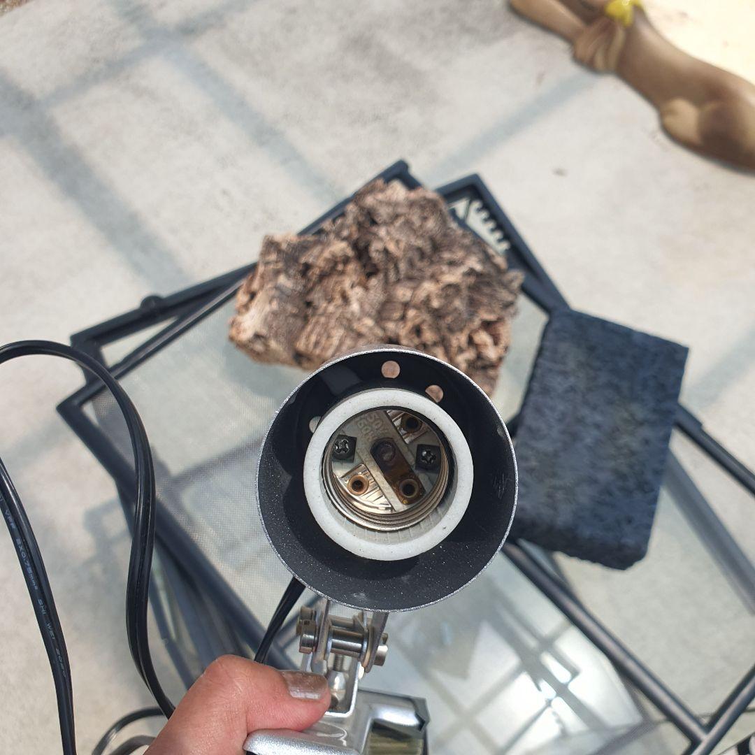 短時間使用 GEX グラステラリウム 6045 爬虫類 ゲージ 5万相当 7点