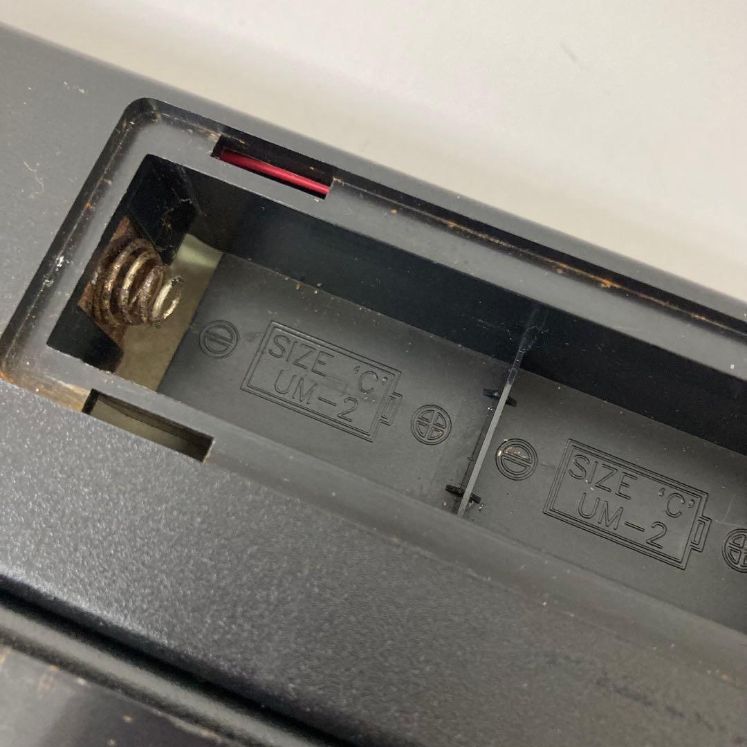 208-H ANIMATED ディズニー スチームボートウィリー 蒸気船ウィリー