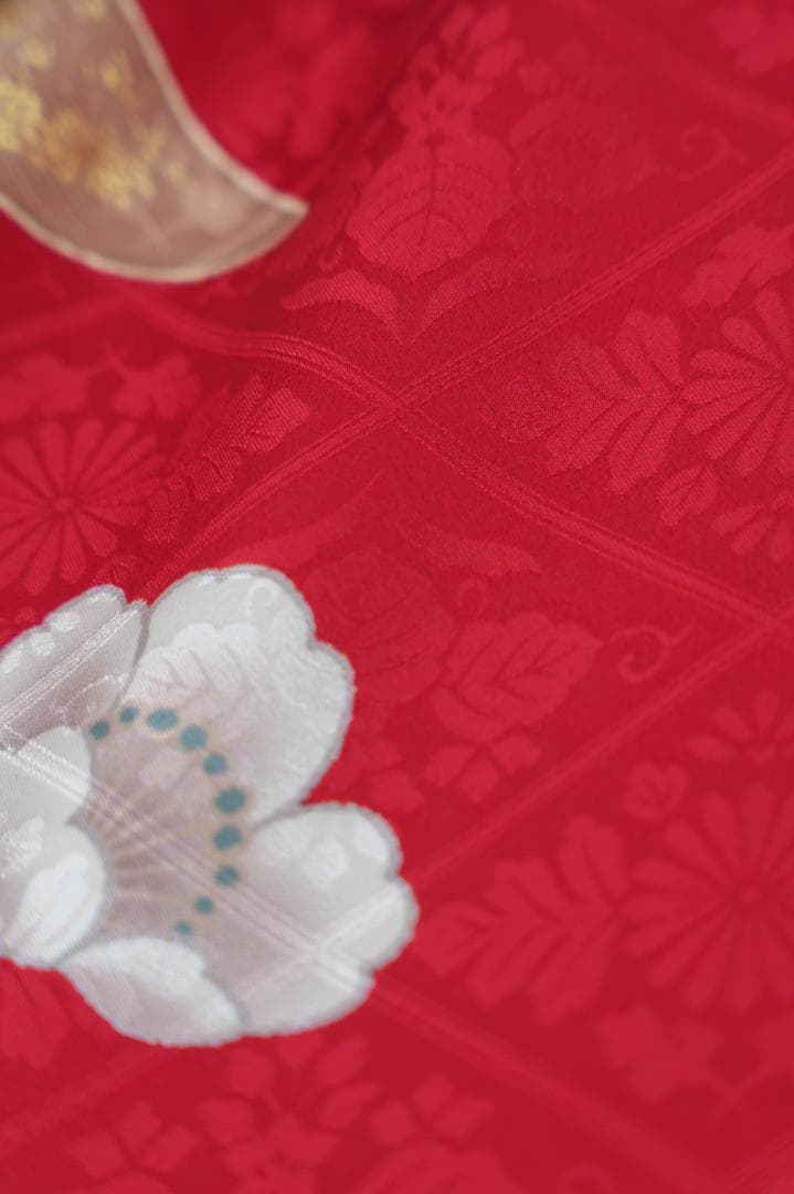 ≪美品≫正絹　振袖9点フルセット【748】【160cm~170cmの方用】