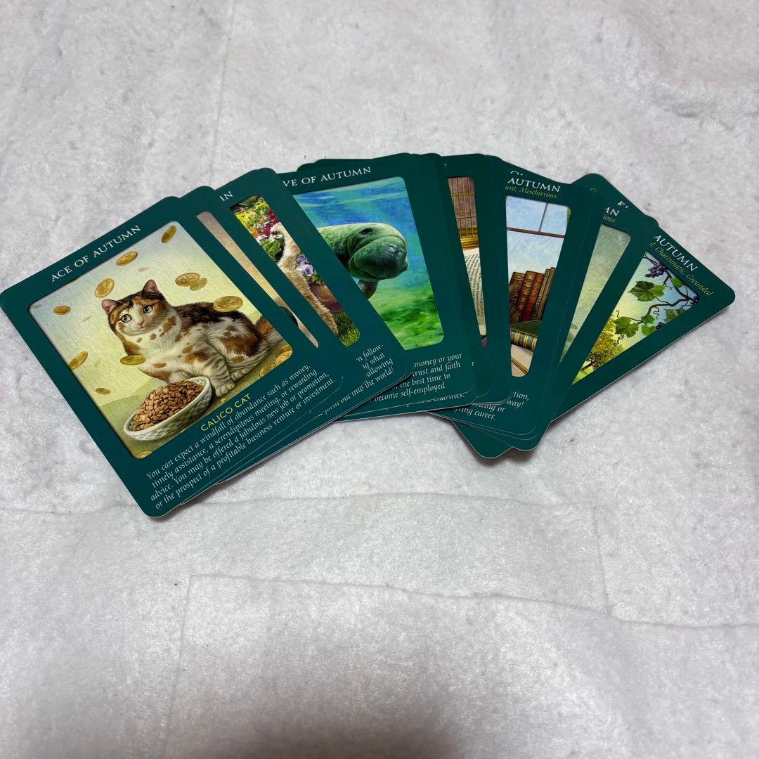 【美品】アニマルタロットカード 日本語版説明書付　ドリーン バーチュー 帯付き