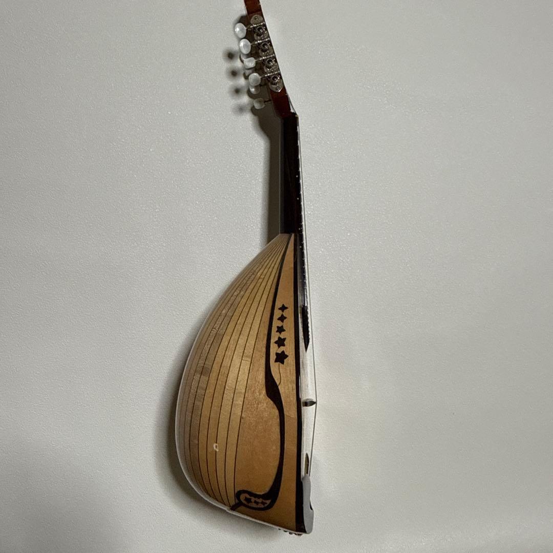 石川捷二郎監修 Venezia マンドリン M-50