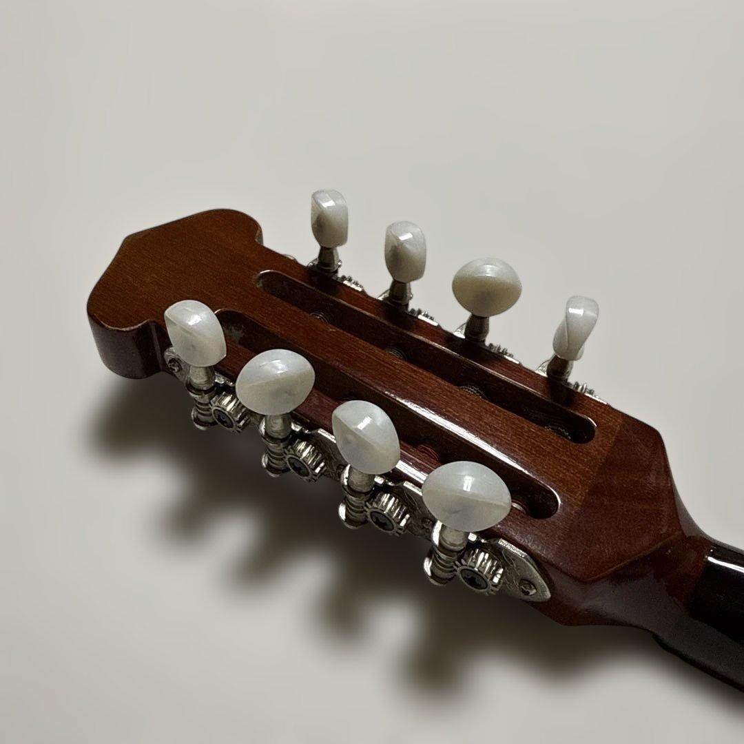 石川捷二郎監修 Venezia マンドリン M-50