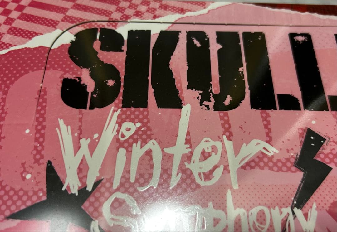 SKULLPANDA Winter Symphony ぬいぐるみ2セット 3箱