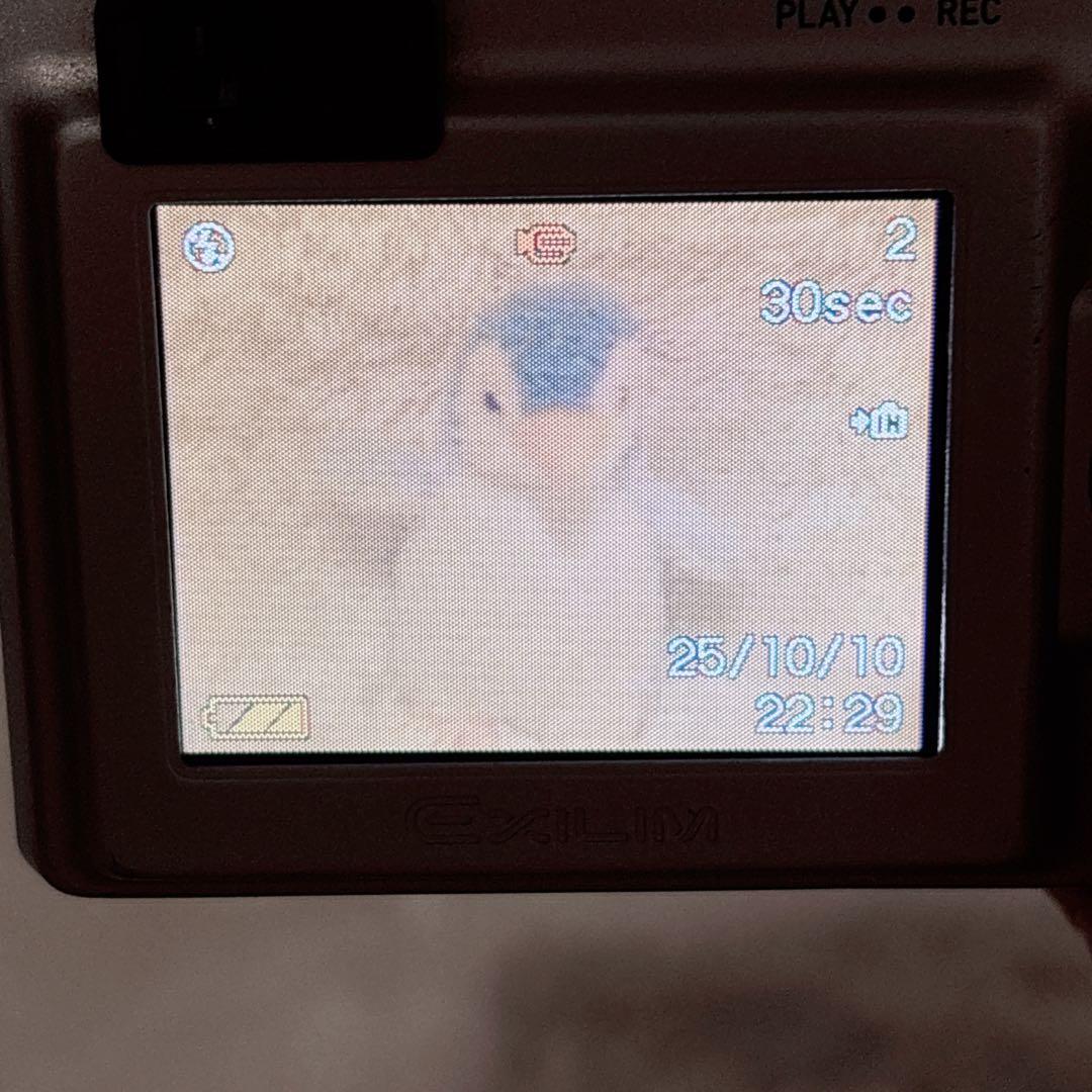 【動作確認済】 CASIO EXILIM ZOOM EX-Z3