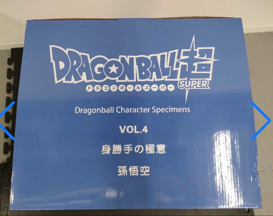 ドラゴンボール ガレージキット 身勝手の極意 FIGURE CLASS