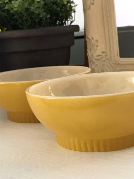 ファイヤーキング　リブボトルサラダボウル2個セット