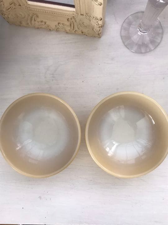 ファイヤーキング　リブボトルサラダボウル2個セット