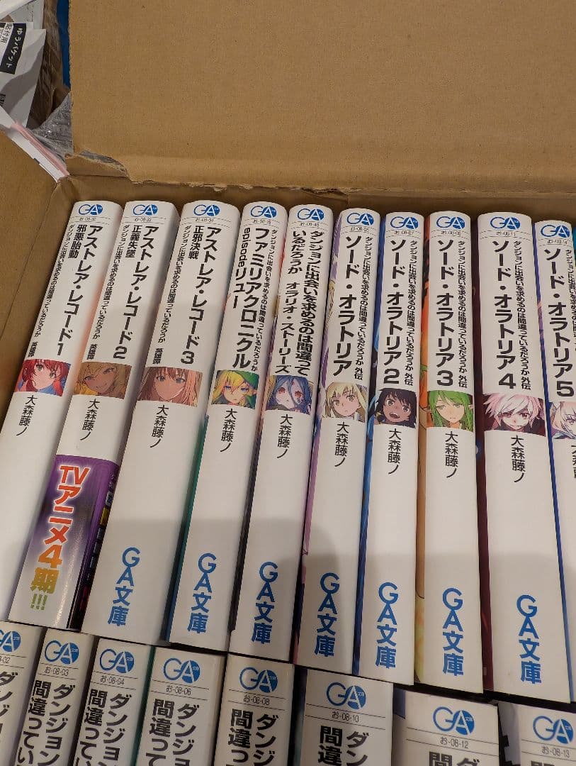 ダンジョンに出会いを求めるのは間違っているだろうか21 ラノベ ソードオラトリア