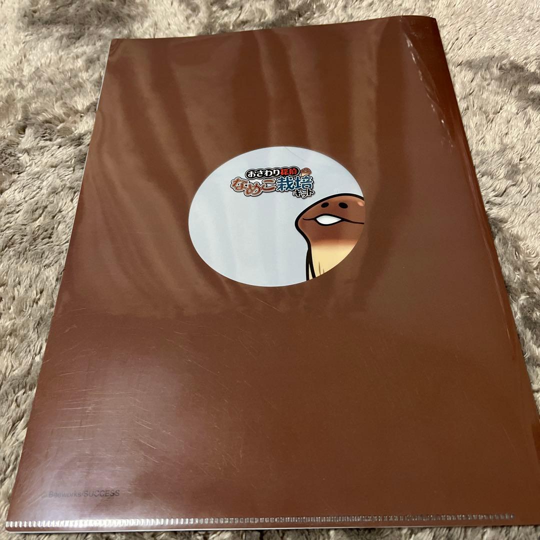 なめこ栽培キット