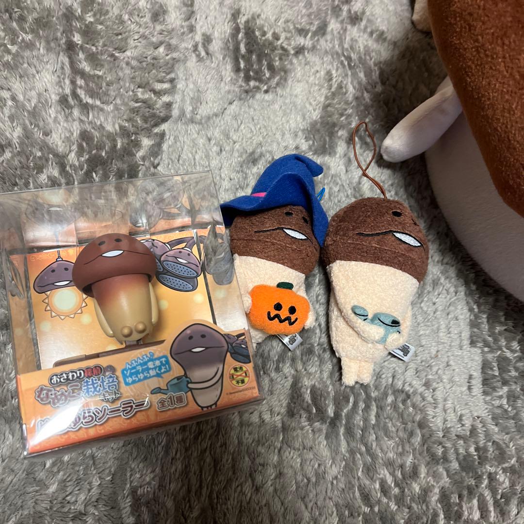 なめこ栽培キット