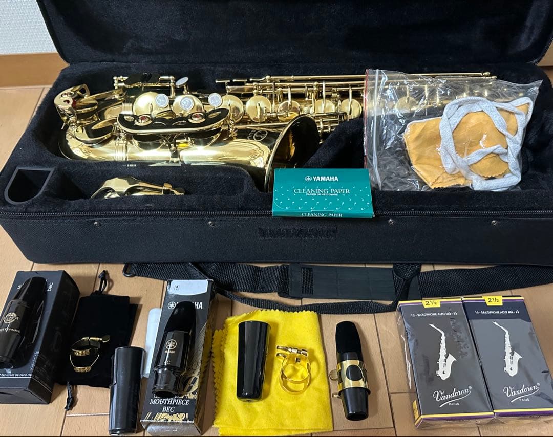 SELVA SAS100KI 入門用 アルトサックス ゴールドラッカー仕上げ