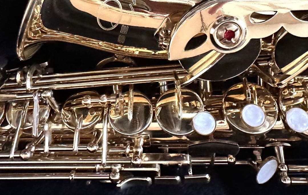 SELVA SAS100KI 入門用 アルトサックス ゴールドラッカー仕上げ