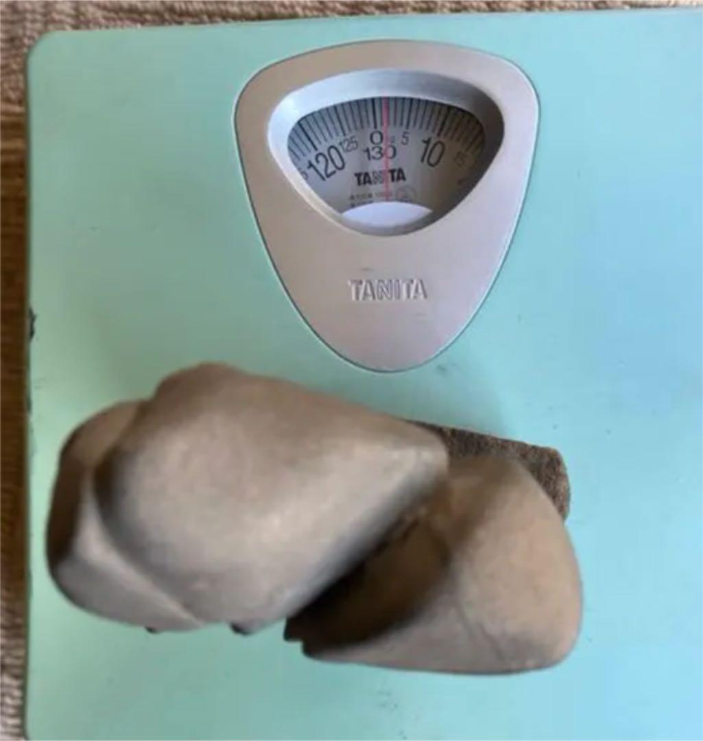 水石 三田川石 水石 盆石 自然石