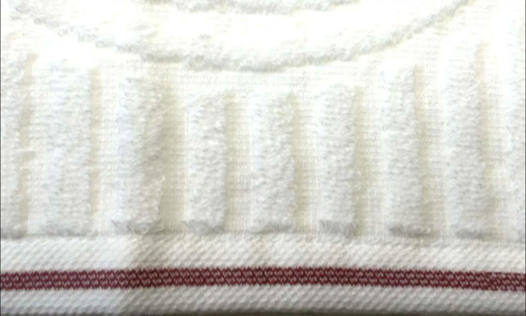 20枚組 ふわふわの肌触り極柔の高級ホテル仕様 泉州産枯山水フェイスタオル