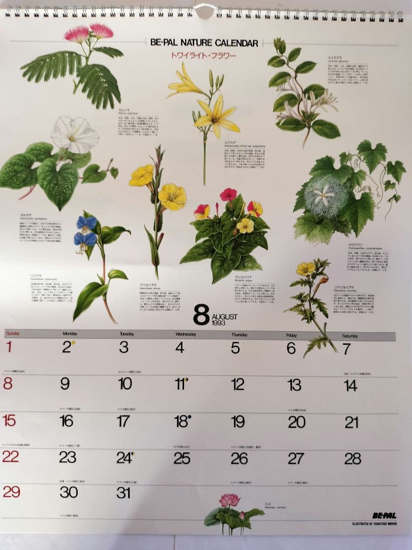 BE-PAL ビーパル カレンダー 新品未使用 1993年 ヴィンテージ