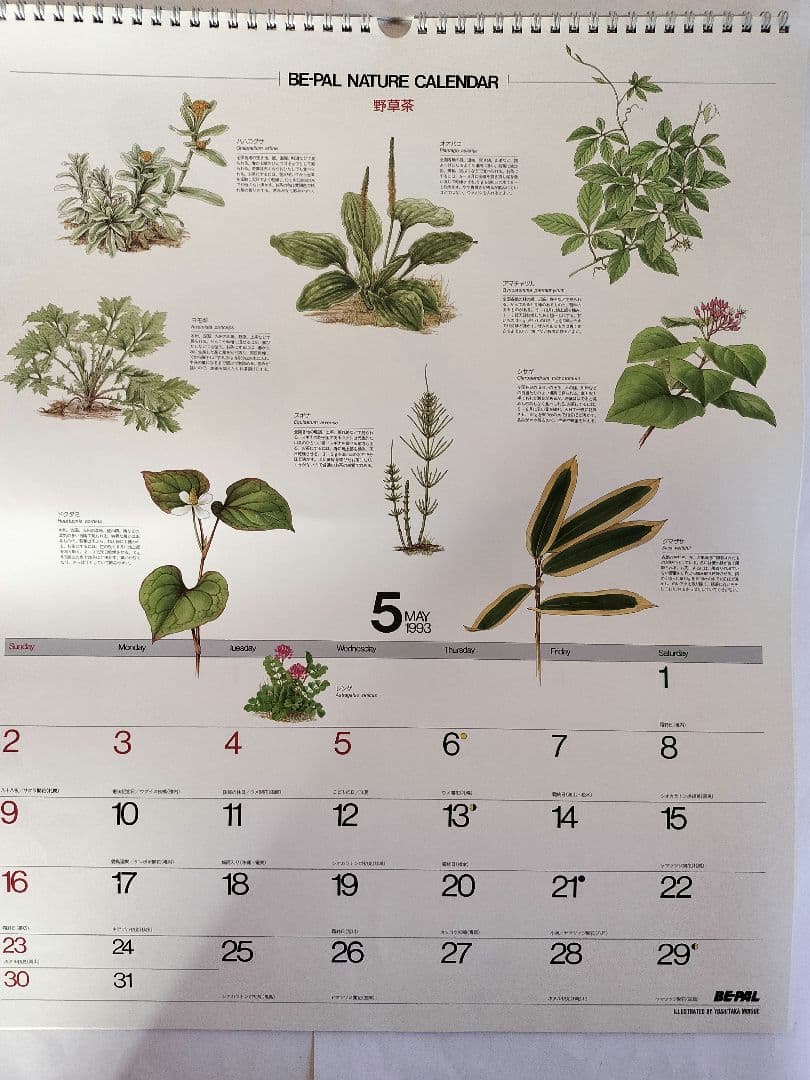 BE-PAL ビーパル カレンダー 新品未使用 1993年 ヴィンテージ