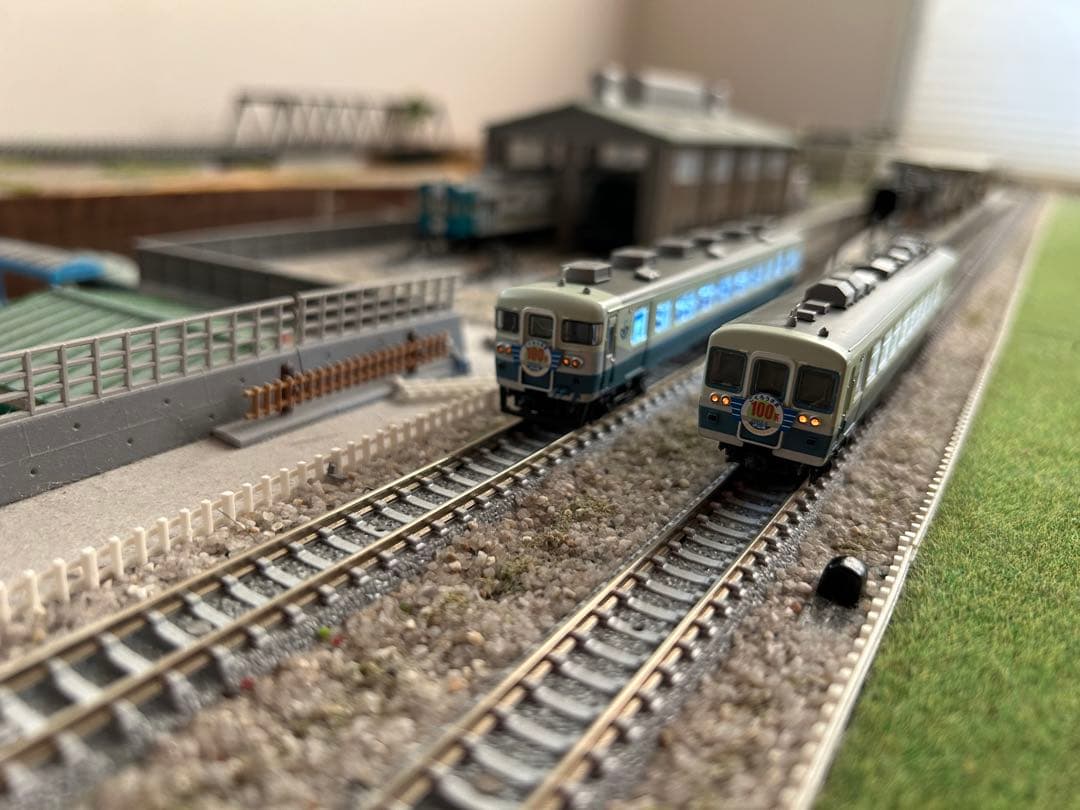 伊豆急 100系 快速 伊豆急Thanks days号 A8119