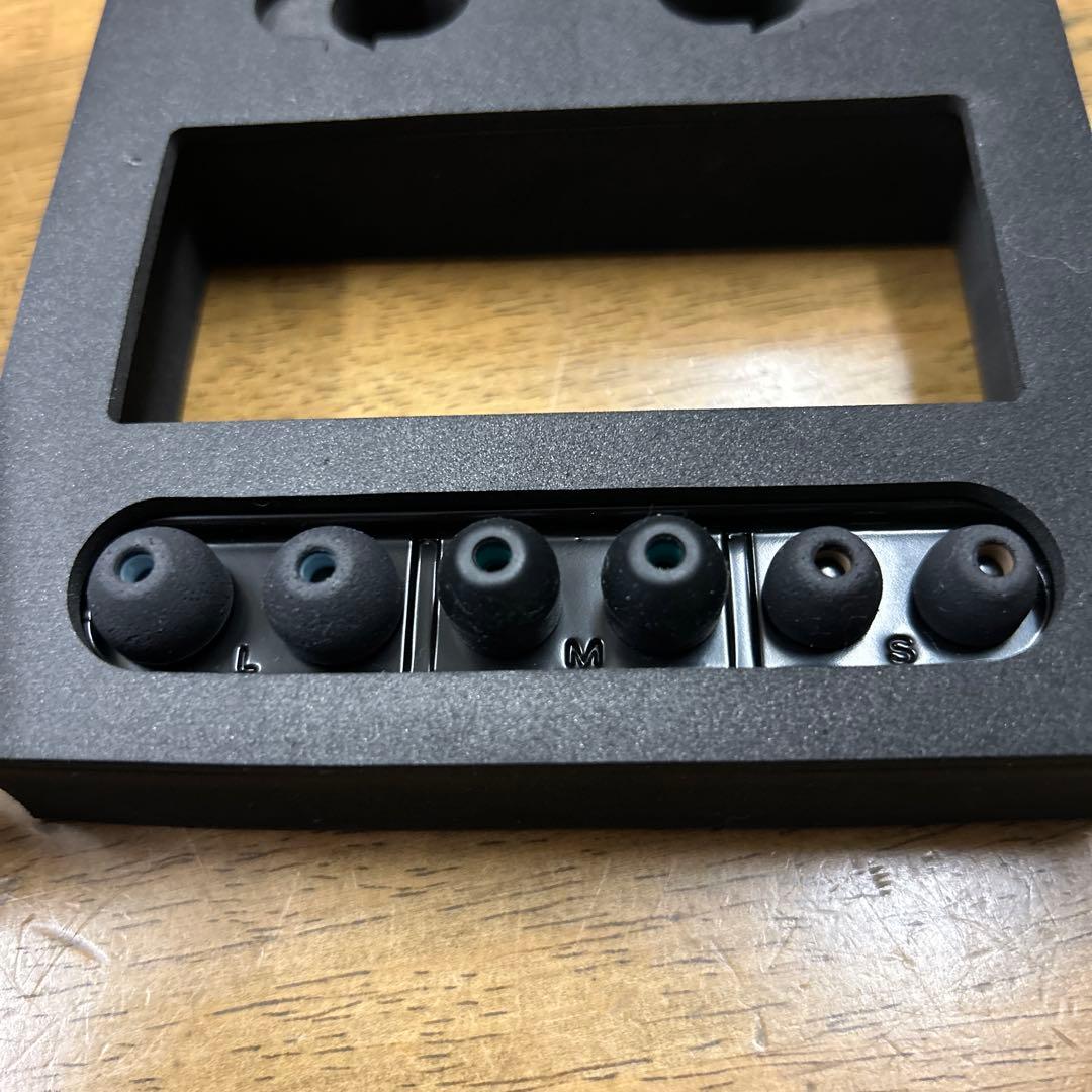 SONY WF-1000X 左のみ聴けます。