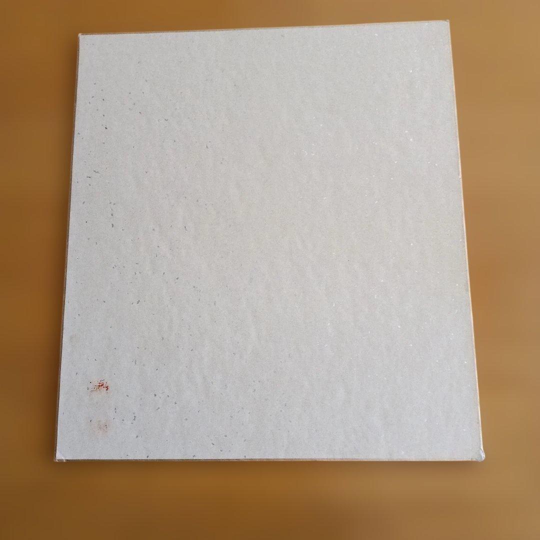 長州力 直筆サイン色紙２枚セット新日本プロレスリング