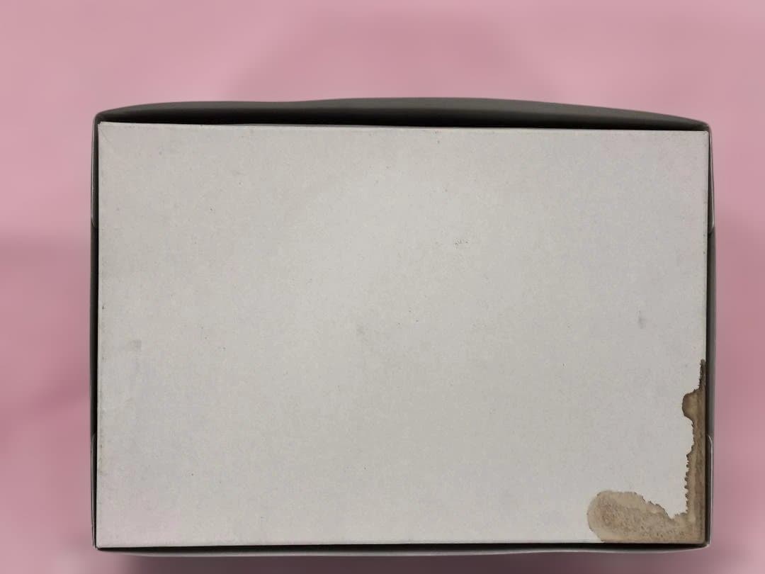 【激レア品】重装機兵レイノス（主人公機）初期販売Ver.プラキット　内袋開封済