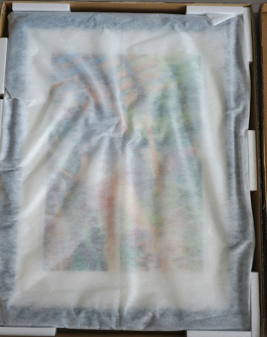 カントク 版画 虹色デート アールビバン