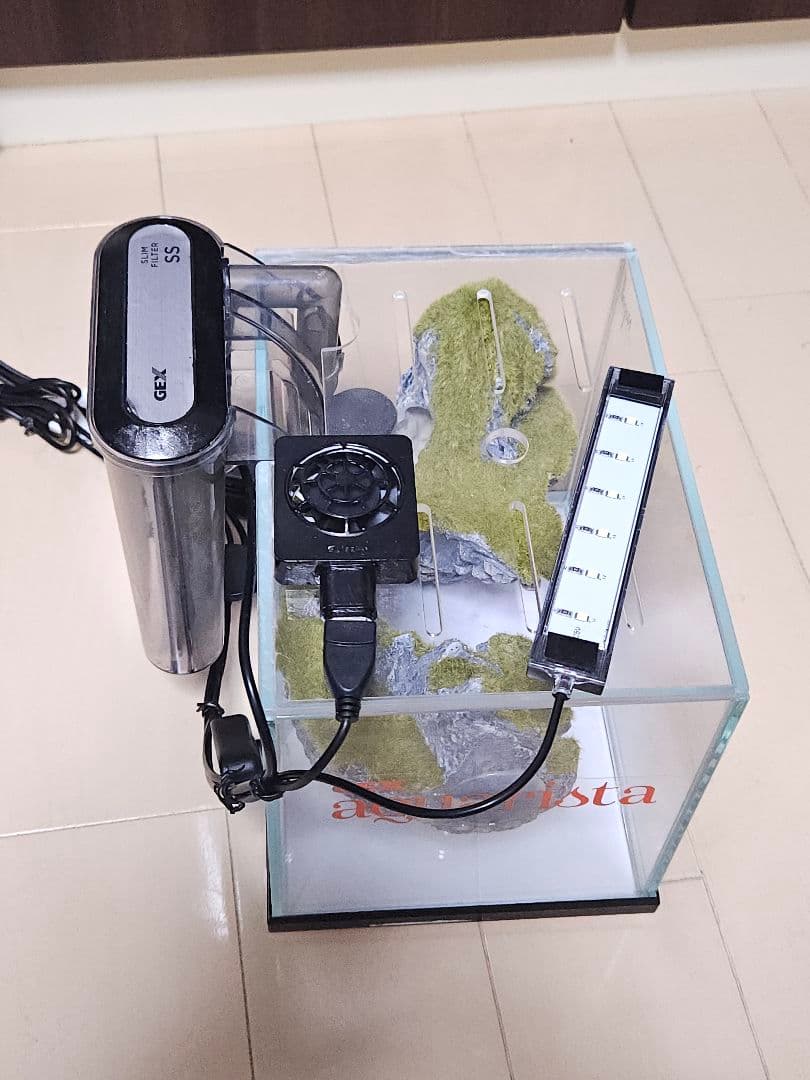 小型ガラス水槽 GEX SSフィルター付き　天空の島　フルセット