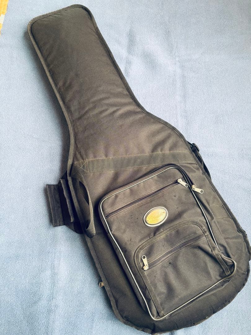 タ*ー様 美品Fender Mexico Strato 2011年レイクプラシッ