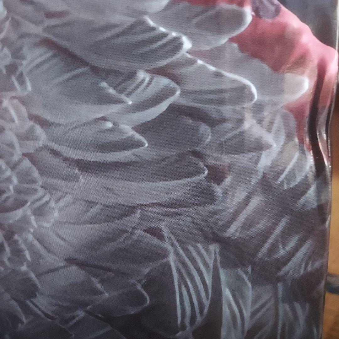 一番くじ ワンピース ex C賞　ピエール&ガン・フォール