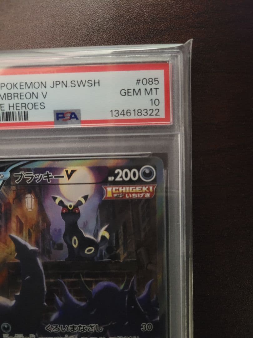 ブラッキー V SA PSA10