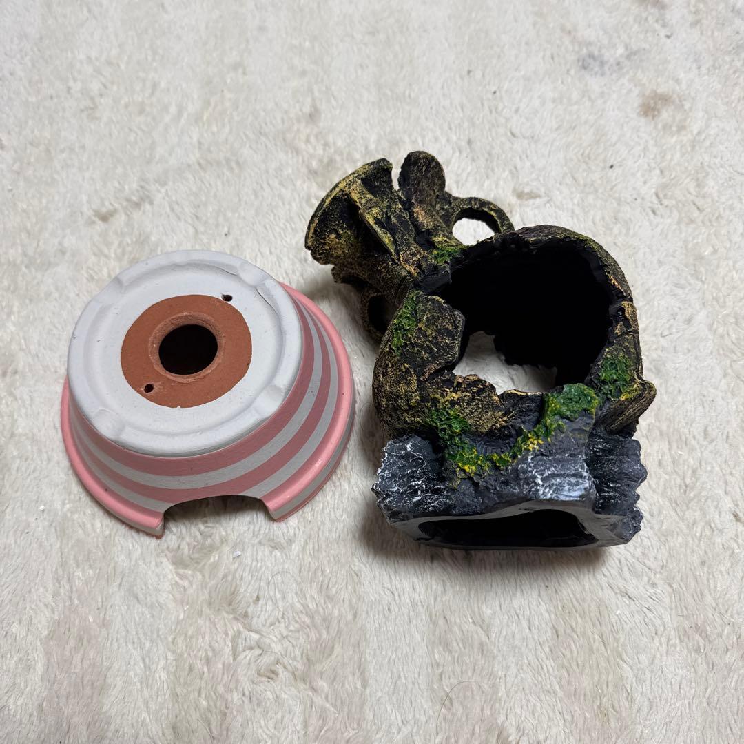 お*い様 爬虫類用品②