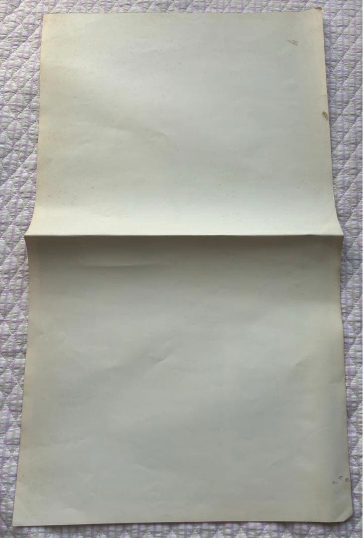 昭和レトロ！当時物！八代亜希　ポスター　池谷朗